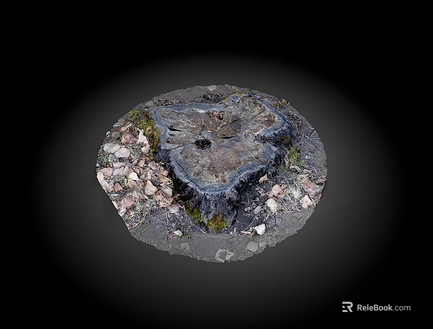 Natural Wooden Tree Stump With Surrounding Stones And Green Moss Texture 3d model 