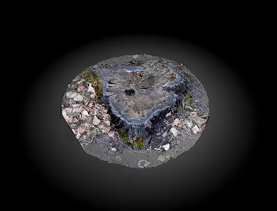 Natural Wooden Tree Stump With Surrounding Stones And Green Moss Texture 3d model