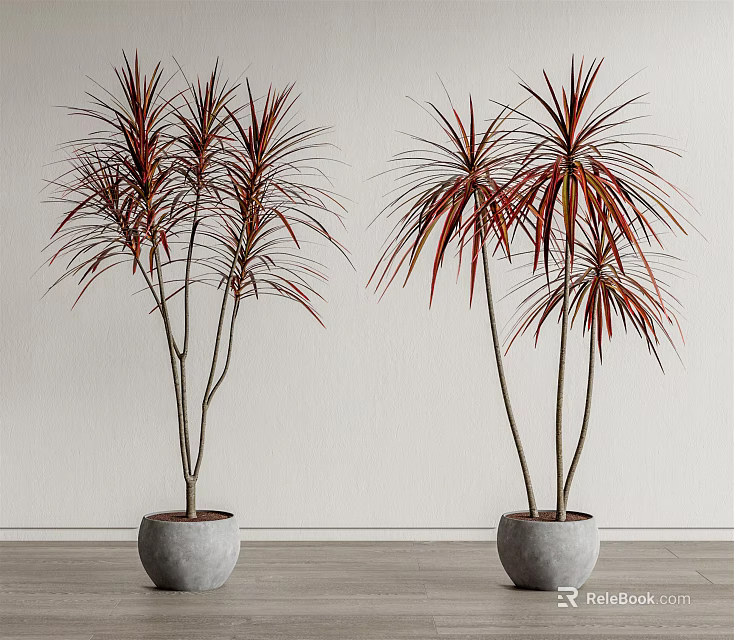 Potted Bonsai Plants With Red And Green Leaves Slender Stems In Gray Concrete Pots 3d model 