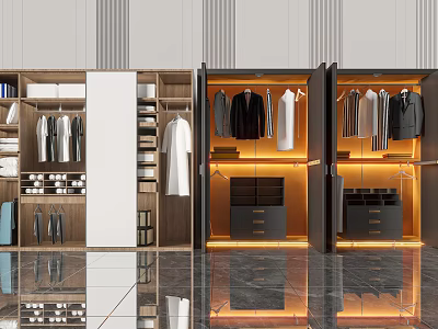 Modern Closet Interior Design With Open Shelves Hanging Rods And LED Lighting 3d model