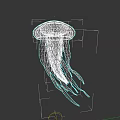 Colorful Jellyfish with Blue Umbrella Body and Yellow Red Tentacles in Underwater Habitat