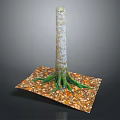 Wooden Tree Trunk with Roots on Stone Base Decorated with Fallen Leaves and Natural Texture