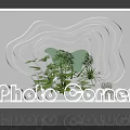 Photo Corner With White Curved Display Structure And Green Plants