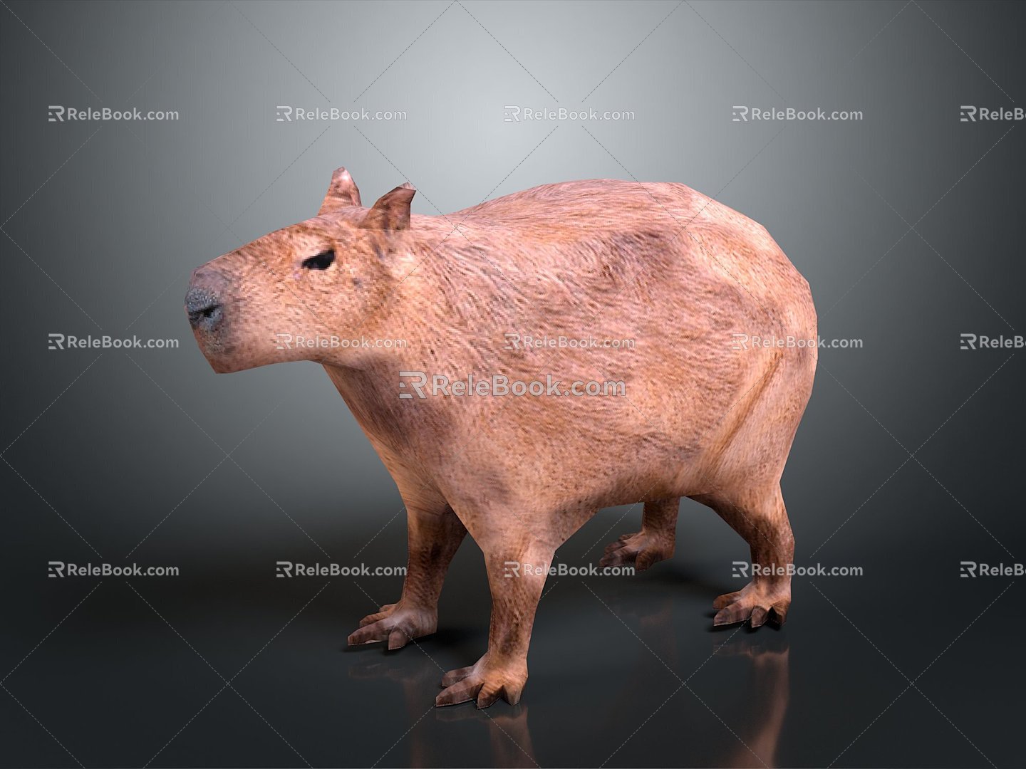 Water guinea pig capybara moving capybara 3d model