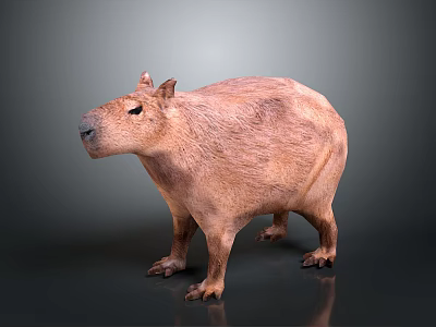 Adorable Capybara Shaped Plush Toy Soft Stuffed Animal For Kids Bedroom Decor And Gift 3d model