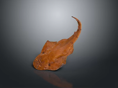 Brown Flat Ray With Long Tail Displayed As Specimen On Dark Surface 3d model