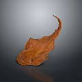 Brown Flat Ray With Long Tail Displayed As Specimen On Dark Surface