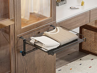 Modern Wooden Wardrobe Interior With Glass Door Shelf And Folded Clothes 3d model