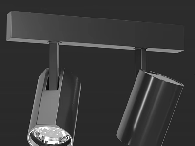 Modern Black Adjustable Double Head Downlights Spotlights With Sleek Metal Bar Bracket 3d model
