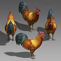 Three Colorful Rooster And Hen With Vibrant Feathers Standing Together