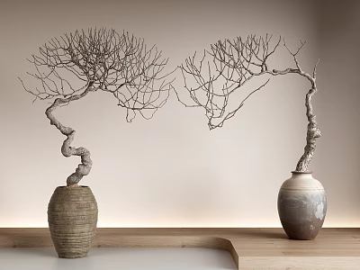 Bonsai Potted Plants With Twisted Branches In Textured Vases On Wooden Tabletop 3d model