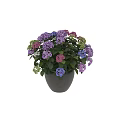 Gray Flower Pot With Blooming Purple Pink Blue White Hydrangea And Green Leaves Decorative Set