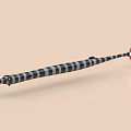 Long Bodied Aquatic Animal With Black And White Stripes And Red Tail 3D Model