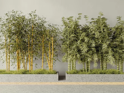 Bamboo Bonsai Plants with Gray Wall Background Concrete Flower Bed Various Heights Lush Green Leaves 3d model