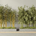 Bamboo Bonsai Plants with Gray Wall Background Concrete Flower Bed Various Heights Lush Green Leaves