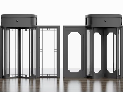 Modern Black Metal Frame Entry Doors With Glass Panels And Wooden Floor 3d model