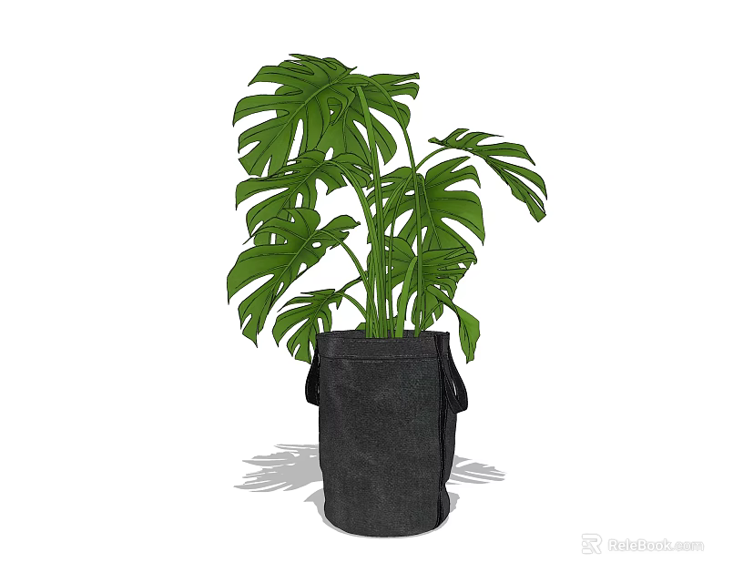 Bonsai Potted Plant with Green Monstera Leaves in Black Fabric Pot 3d model 