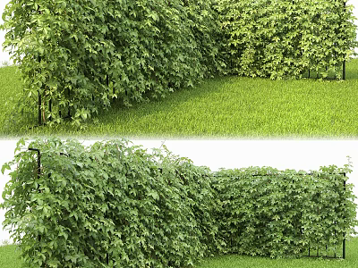 Green Plant Wall with Lush Vines and Outdoor Grass Background Supported by Frames 3d model