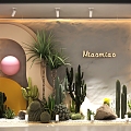 shopping mall window display window green plant cactus tropical plant 3d model