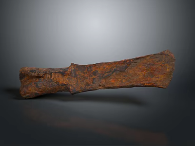 Ancient Rusted Iron Artifact With Long Curved Shape And Historical Rusty Surface 3d model