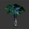 Lush Green Decorative Tree With Dark Textured Trunk And Foliage