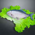 Fresh Silver Fish on Top of Green Crisp Lettuce Leaves as Healthy Seafood