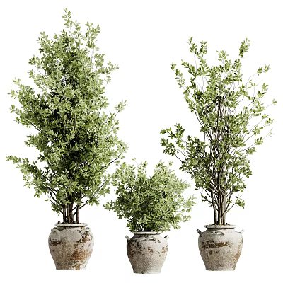 Artistic Bonsai Potted Plants in Rustic Clay Pots with Lush Green Foliage 3d model