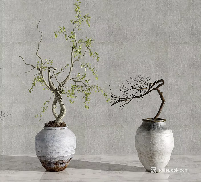 Bonsai Plants In White Textured Vases With Green Leaves And Bare Branches Against Gray Wall 3d model 