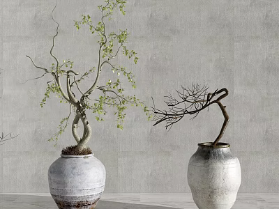 Bonsai Plants In White Textured Vases With Green Leaves And Bare Branches Against Gray Wall 3d model