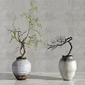 Bonsai Plants In White Textured Vases With Green Leaves And Bare Branches Against Gray Wall
