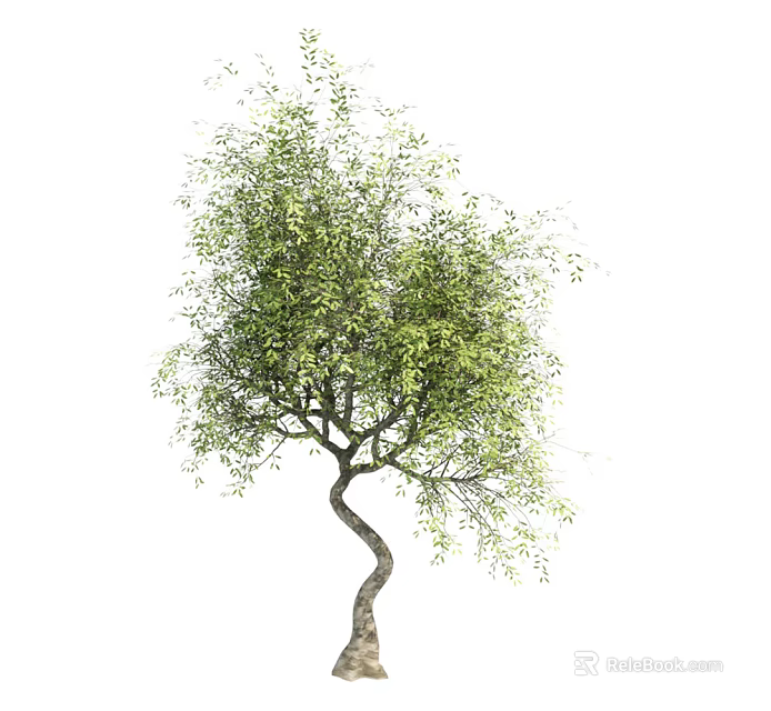 Lush Green Arbor With Curved Trunk And Dense Foliage Canopy 3d model 