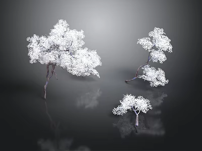 Three White Trees With Dark Background And Reflections In Studio 3d model