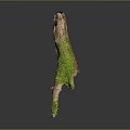 Rustic Wood Stone Branch Featuring Green Moss Natural Texture And Dark Background Reflection 3d model