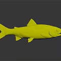 Fresh Salmon Fish With Green Brown Stripes And Red Spots On Gray Background