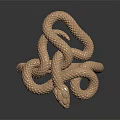 Copper Colored Snake Coiled In Intricate Pattern On Dark Background With Reflection