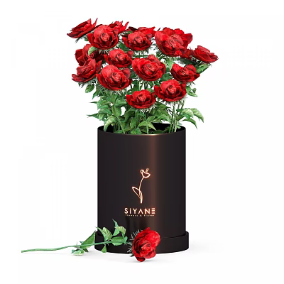 Red Roses Arrangement in Black Vase with SIYANE Logo and Fallen Rose Leaves 3d model