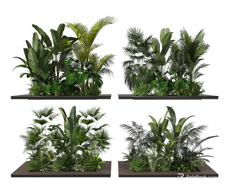 Tropical Green Plants in Black Planters with Lush Foliage for Indoor Decor 3d model 