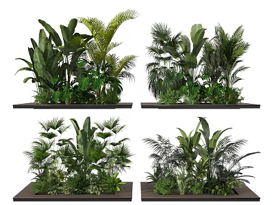 Tropical Green Plants in Black Planters with Lush Foliage for Indoor Decor 3d model