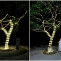 Outdoor String Lights Wrapped Around Tree For Nighttime Garden Decoration 3d model