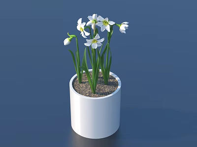 Beautiful Bonsai Potted Plant with White Flowers and Green Leaves in White Pot 3d model