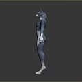 Anthropomorphic Wolf Character With Blue And White Fur Standing In Muscular Stance