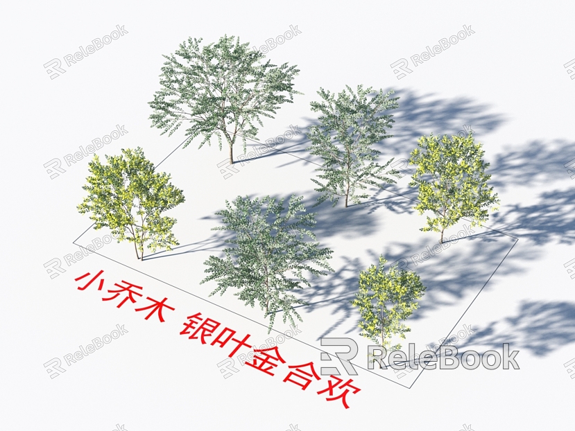 Small trees, silver-leaf acacia plants model