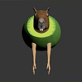 Adorable Capybara Wearing Green Avocado Shell Looking Funny In Studio Shot
