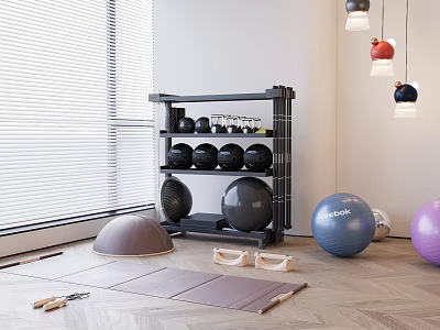 Fitness Storage Shelf With Black Dumbbells And Yoga Balls In Indoor Workout Space 3d model