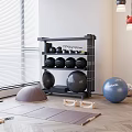Fitness Storage Shelf With Black Dumbbells And Yoga Balls In Indoor Workout Space