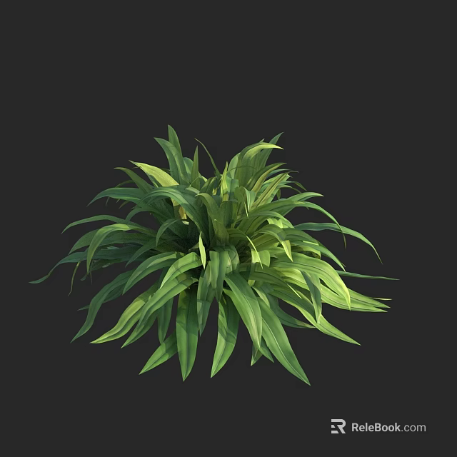 Thriving Green Leafy Plant With Lush Vibrant Leaves Against Black Background 3d model 
