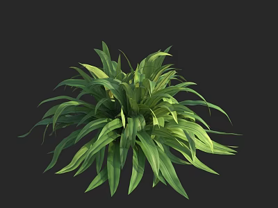 Thriving Green Leafy Plant With Lush Vibrant Leaves Against Black Background 3d model