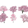 Pink Flowering Trees with Various Shapes for Garden Landscape Design