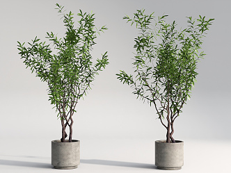 Modern potted plants potted green plants landscape trees 3d model