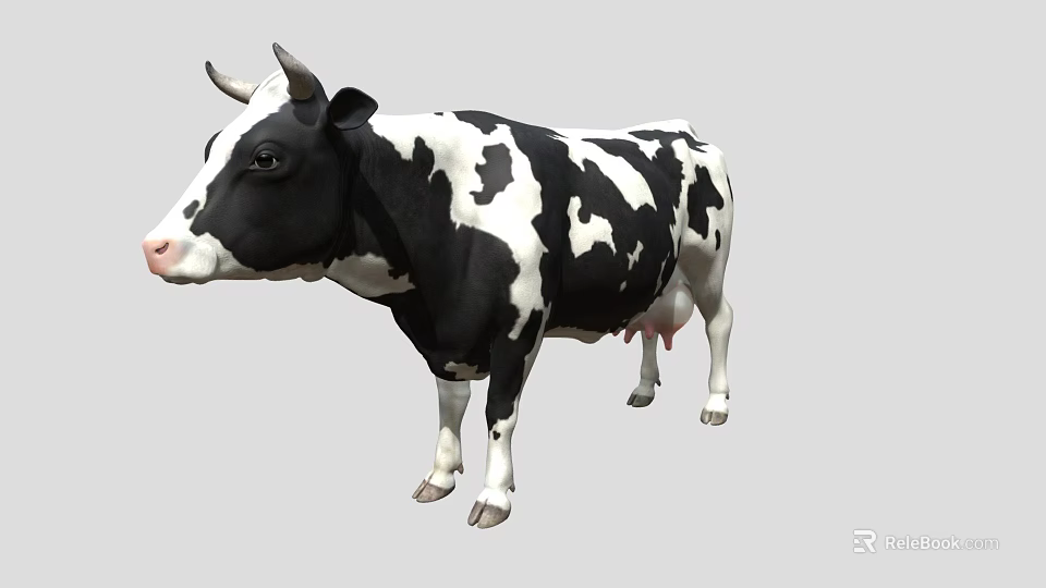 Black and White Spotted Cow with Horns Standing on Gray Background 3d model 